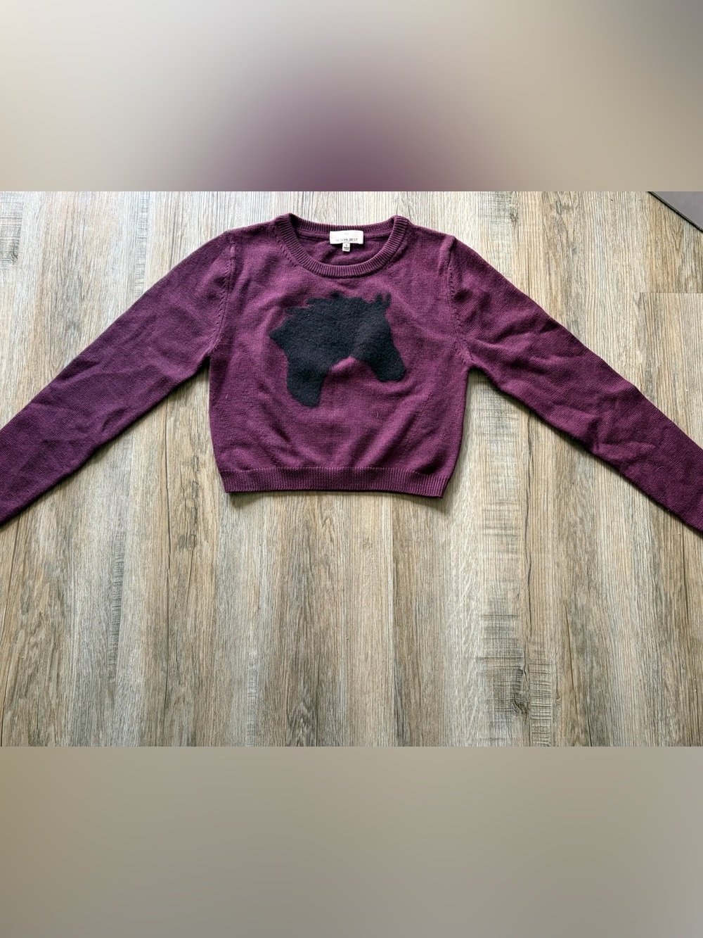 Sunday Best Maroon Cropped Crewneck Sweater with Horse Design - Size Small